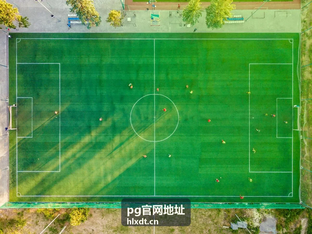 pg官网地址协议类型核对配图